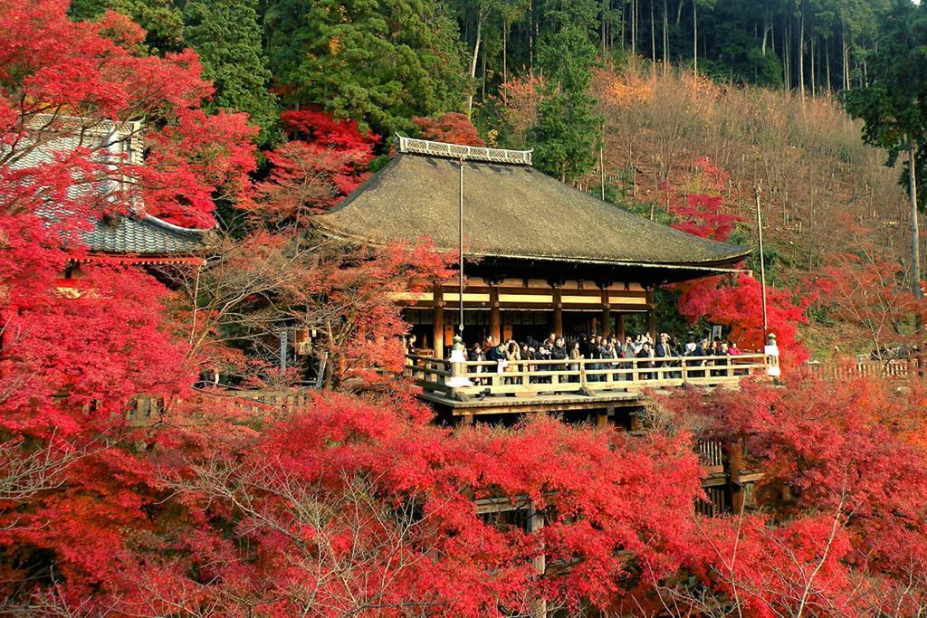 Rin Kyoto Kinkaku-Ji Temple别墅 外观 照片